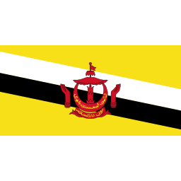 Download free flag brunei icon